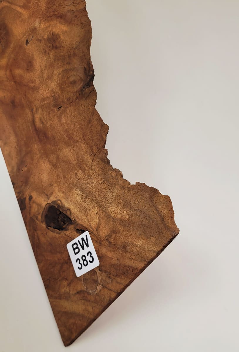 Pieza Unica REF: BW-383 de Raiz de Black Walnut7