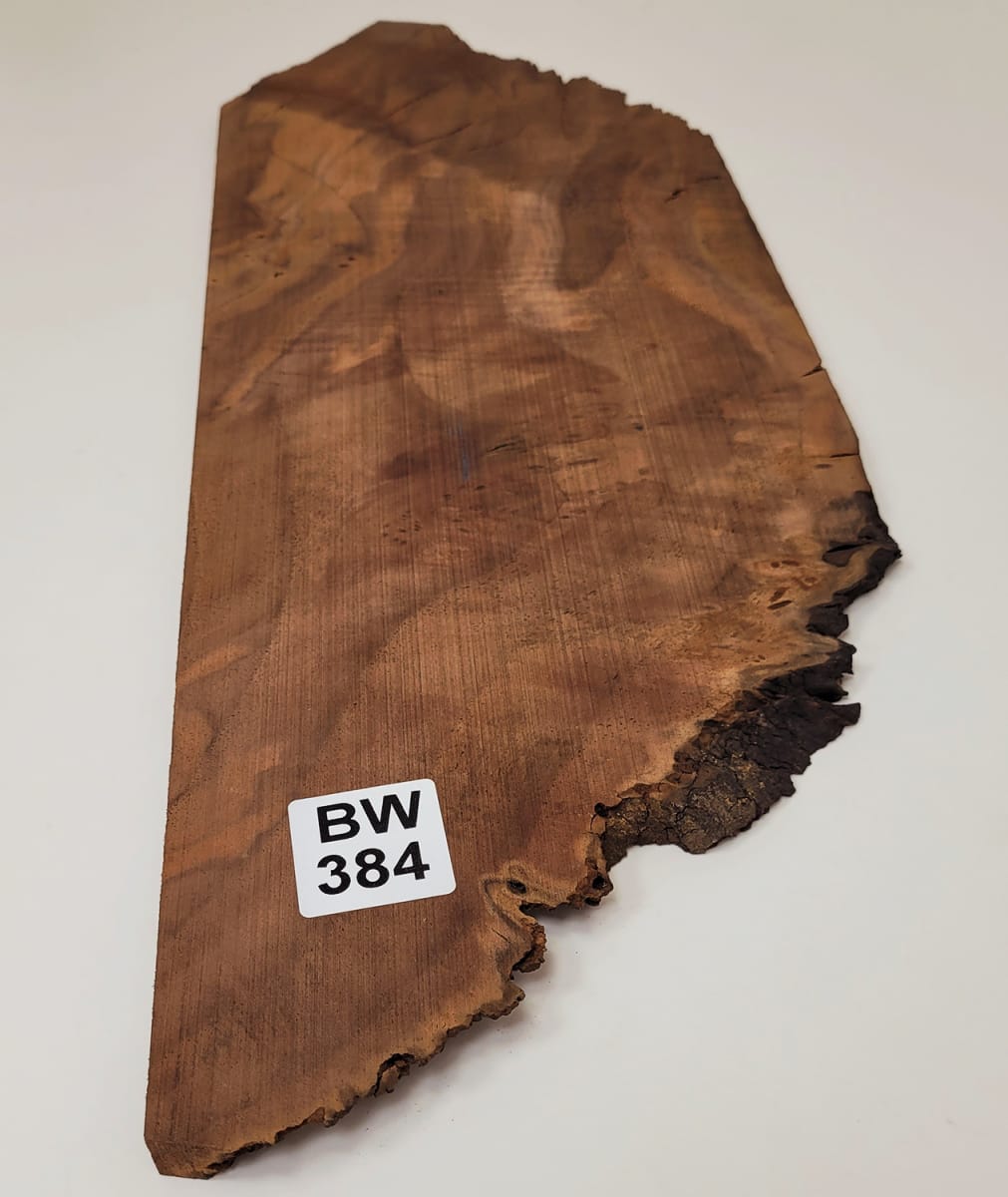 Pieza Unica REF: BW-384 de Raiz de Black Walnut2
