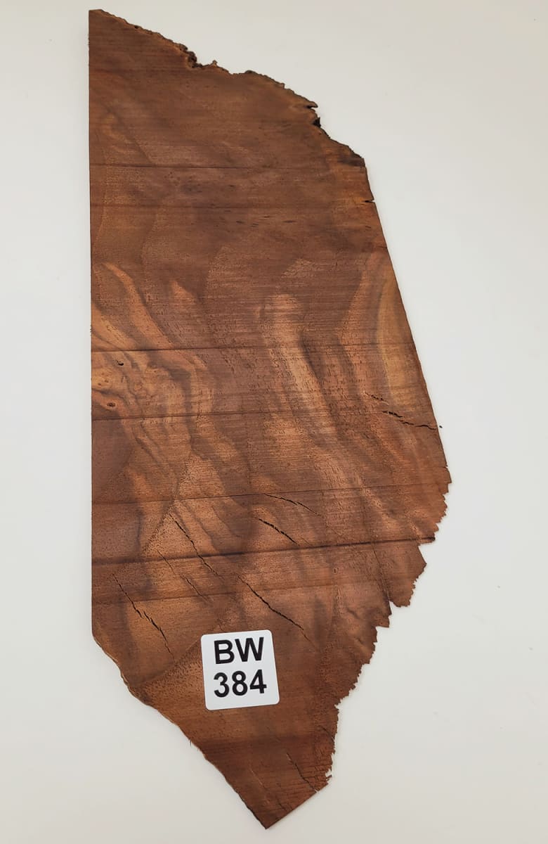 Pieza Unica REF: BW-384 de Raiz de Black Walnut3