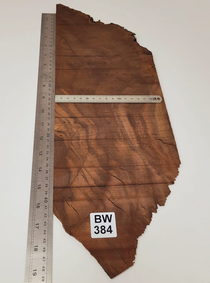 Pieza Unica REF: BW-384 de Raiz de Black Walnut4