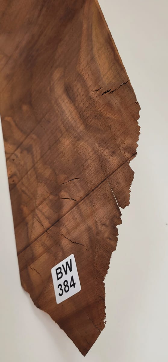 Pieza Unica REF: BW-384 de Raiz de Black Walnut5