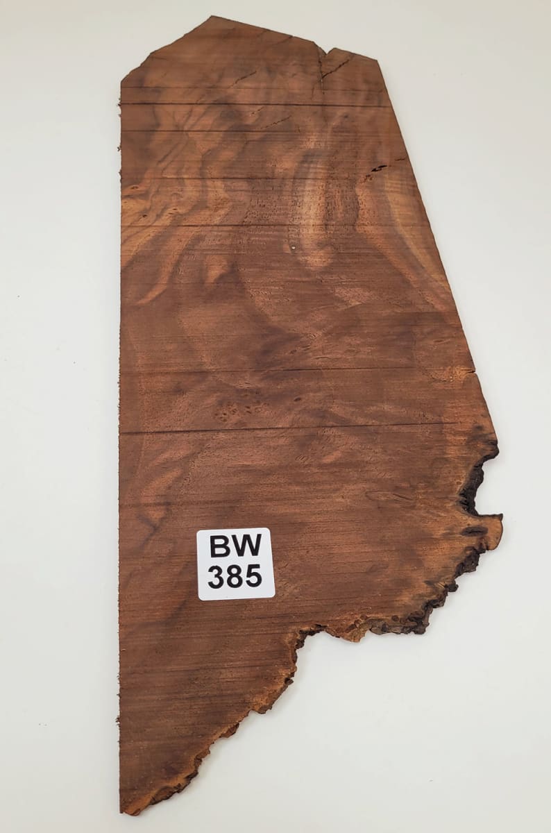 Pieza Unica REF: BW-385 de Raiz de Black Walnut 0