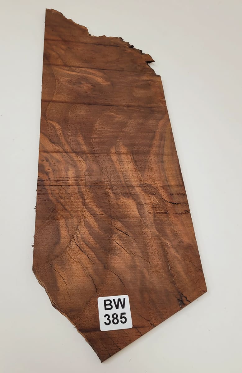 Pieza Unica REF: BW-385 de Raiz de Black Walnut2