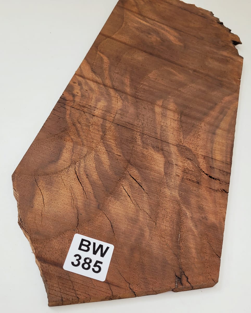 Pieza Unica REF: BW-385 de Raiz de Black Walnut4
