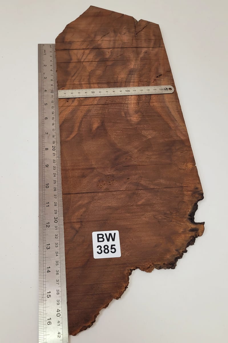 Pieza Unica REF: BW-385 de Raiz de Black Walnut3