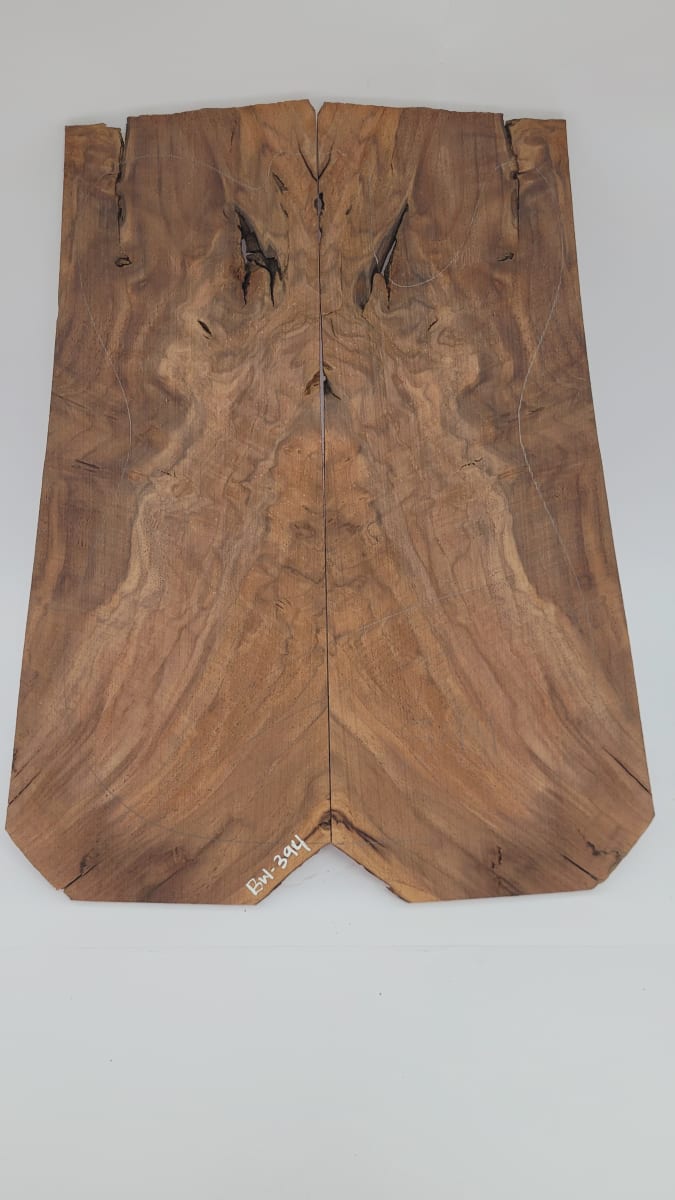 Top Unico REF: BW-394 de Raiz Black Walnut 2