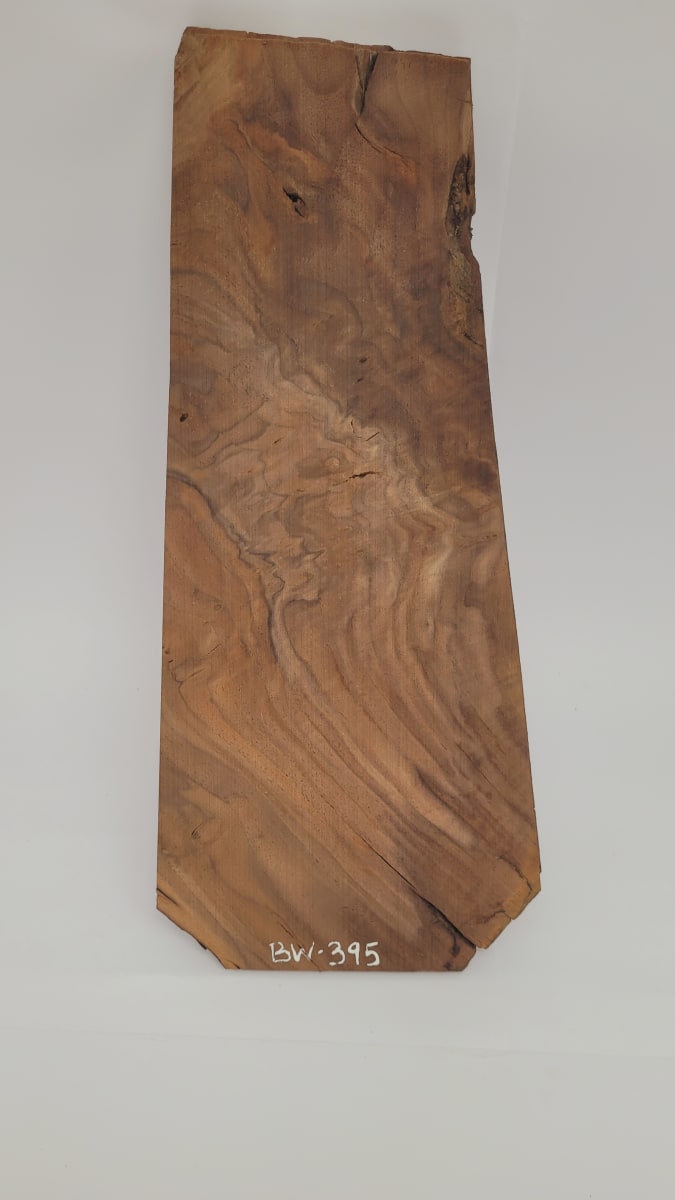 Top Unico REF: BW-395 de Raiz Black Walnut1
