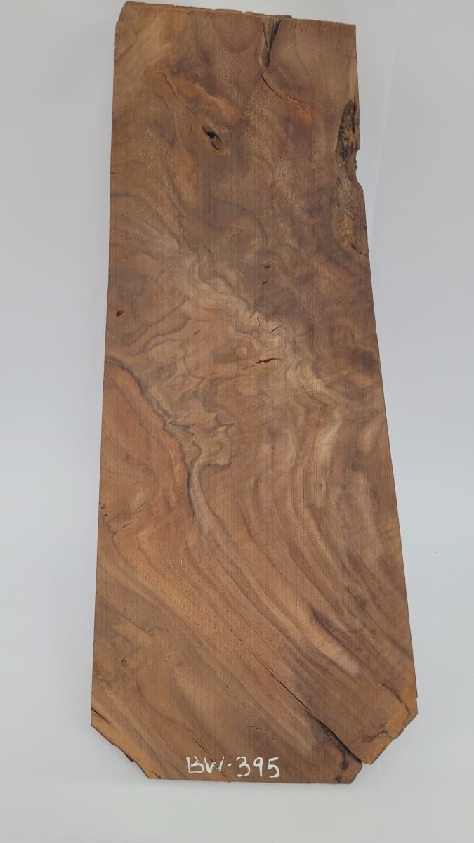 Top Unico REF: BW-395 de Raiz Black Walnut2