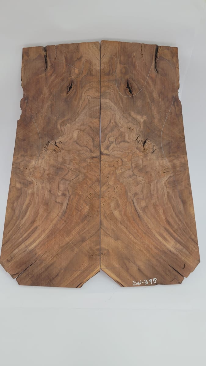 Top Unico REF: BW-395 de Raiz Black Walnut 2