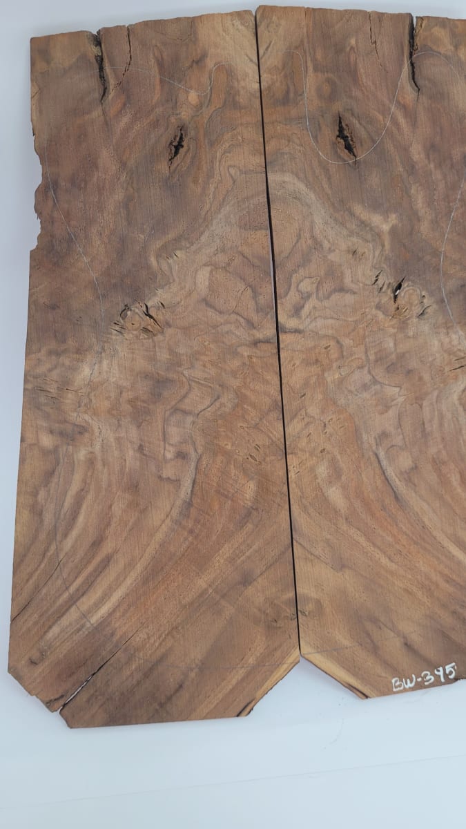 Top Unico REF: BW-395 de Raiz Black Walnut4