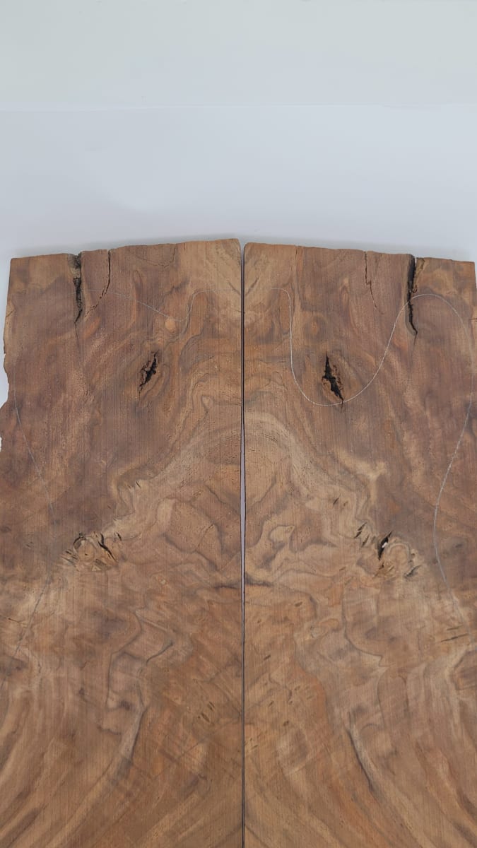 Top Unico REF: BW-395 de Raiz Black Walnut6
