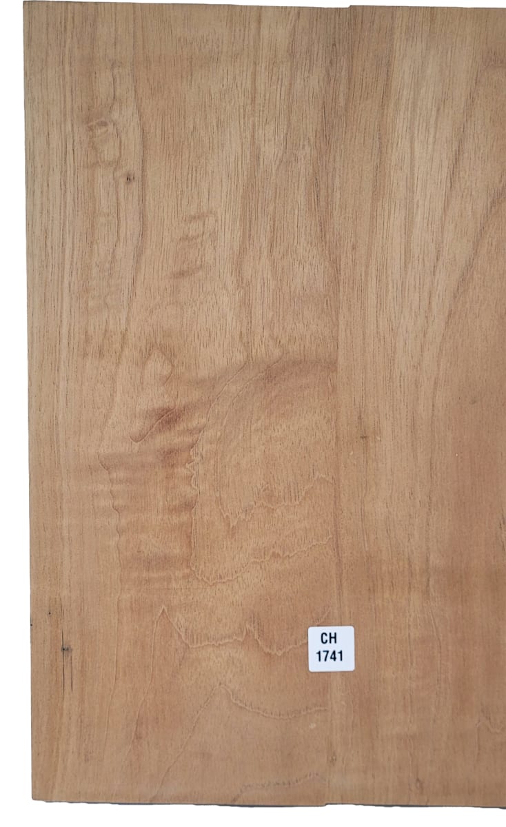 Set Unico REF: CH-1741 Ensamblado de Cedro Honduras (Extra Light)3