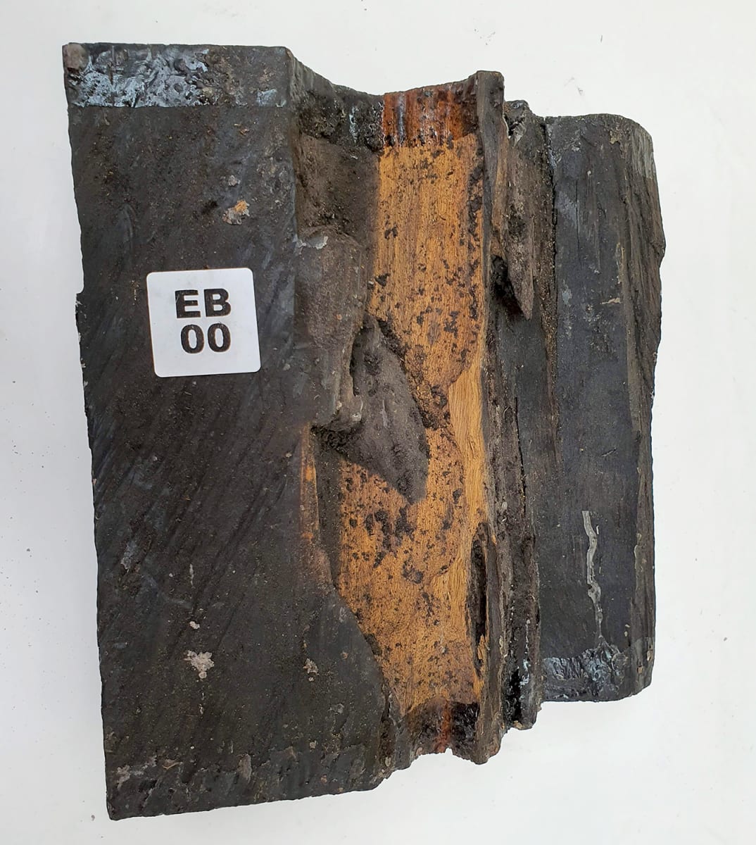 Diapason EB-81 de Ebano Negro para Bajo2