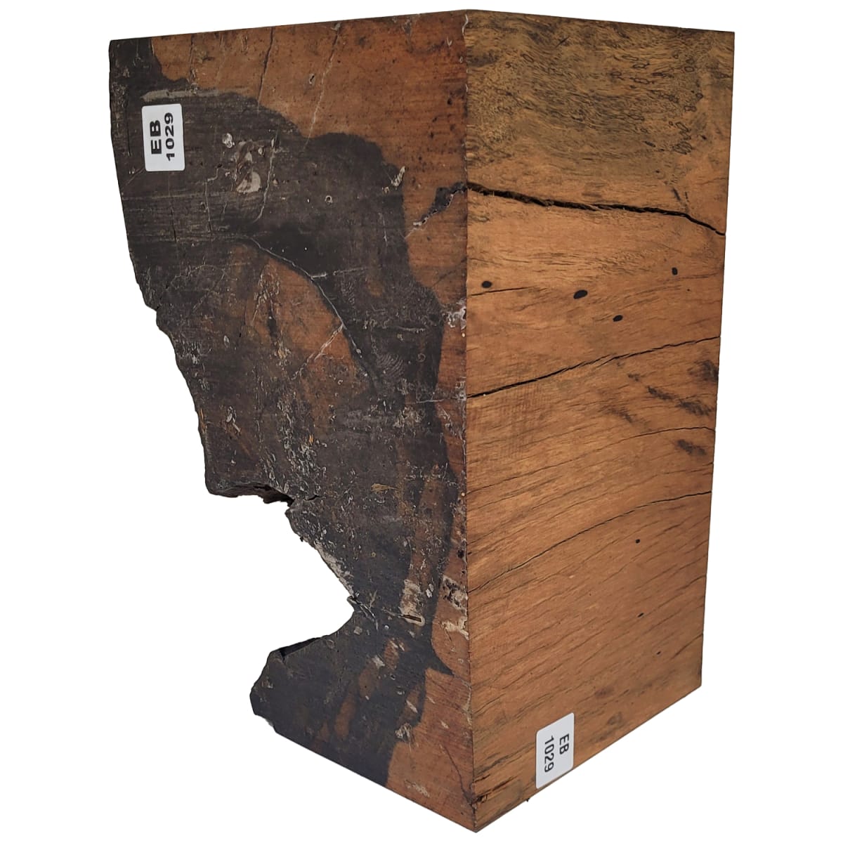 Pieza Unica REF: EB-1029 de Ebano para Artesania y Tallado11