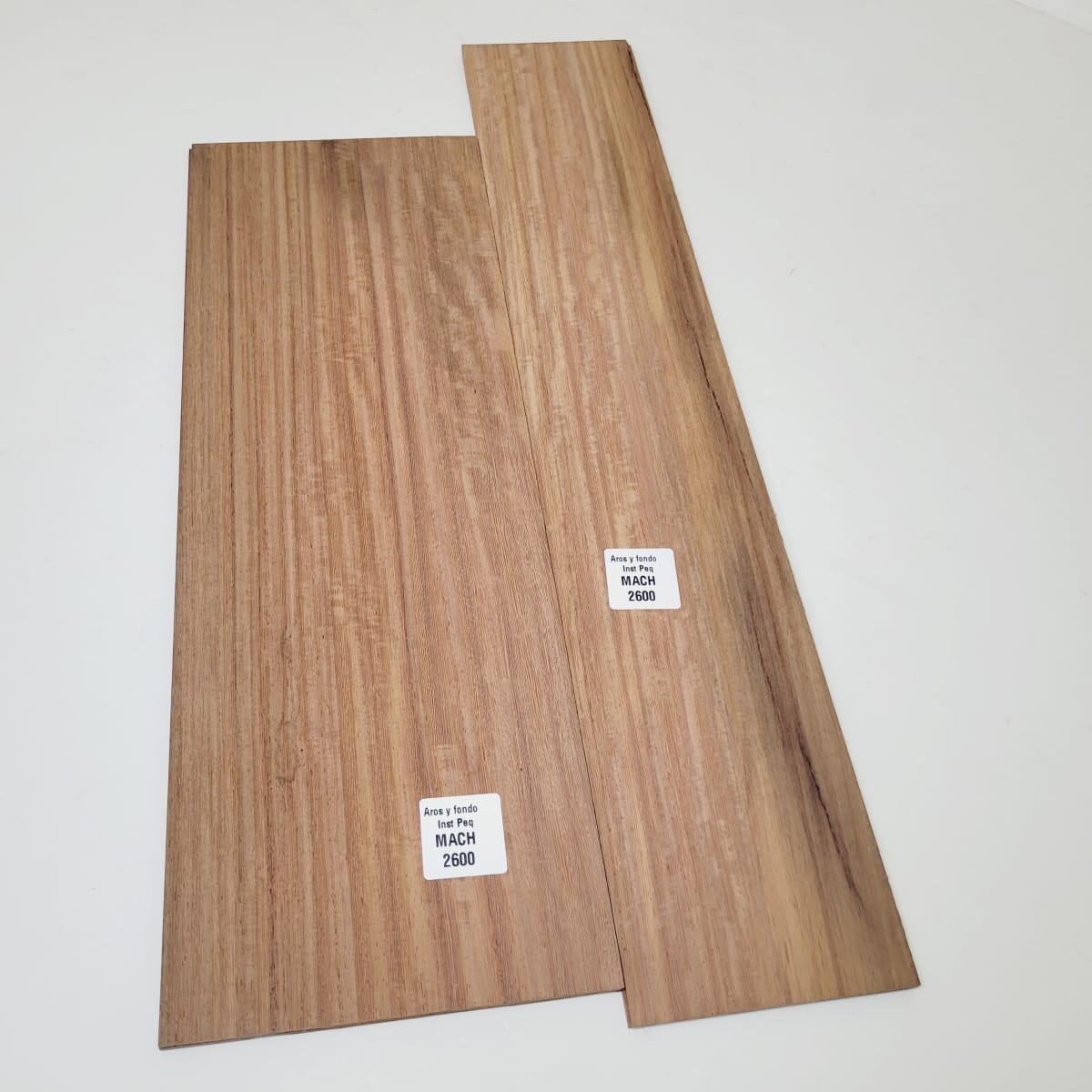 Set de Aros y Fondo con detalles para instrumentos pequeños de Machiche Mexicano REF: MACH-2600 8