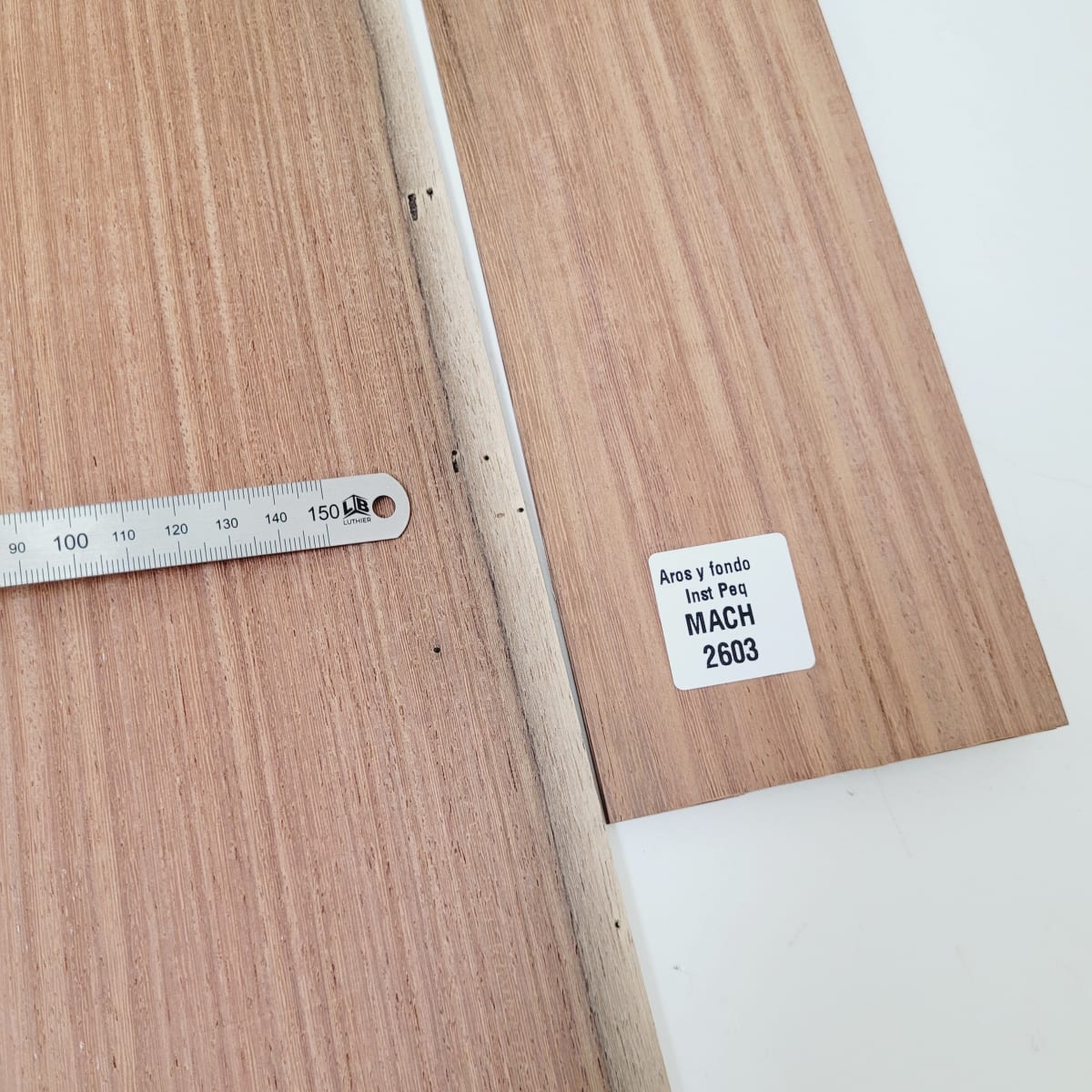 Set de Aros y Fondo con detalles para instrumentos pequeños de Machiche Mexicano REF: MACH-2603 5