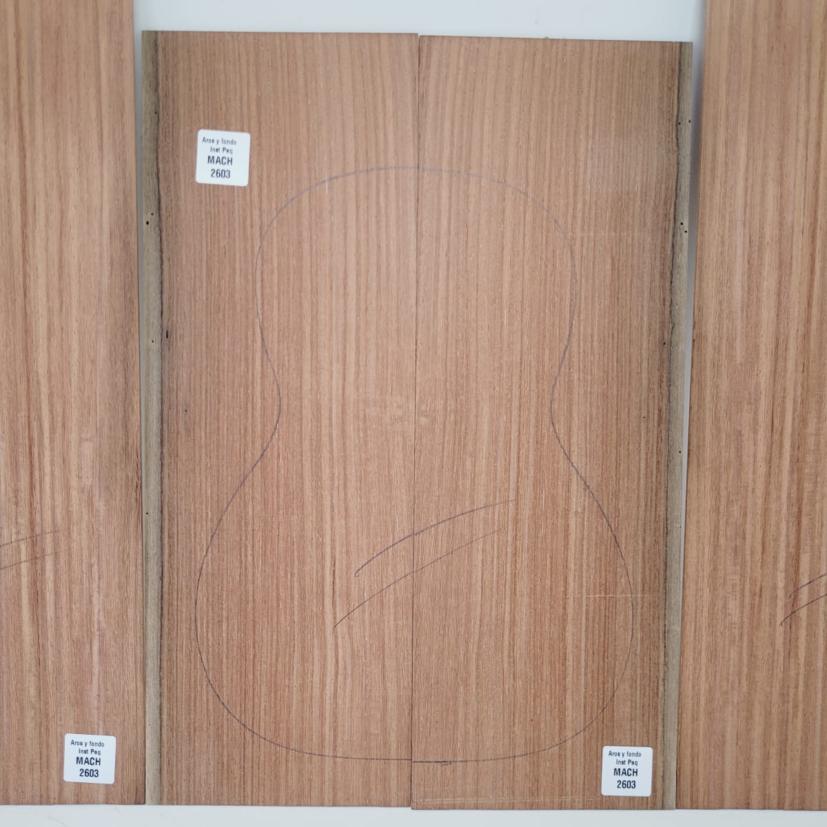 Set de Aros y Fondo con detalles para instrumentos pequeños de Machiche Mexicano REF: MACH-2603 7