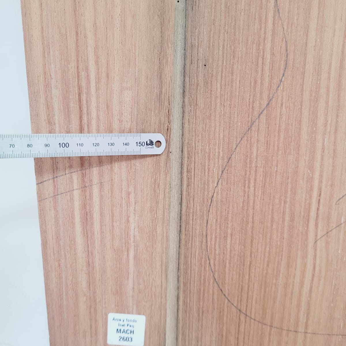 Set de Aros y Fondo con detalles para instrumentos pequeños de Machiche Mexicano REF: MACH-2603 6