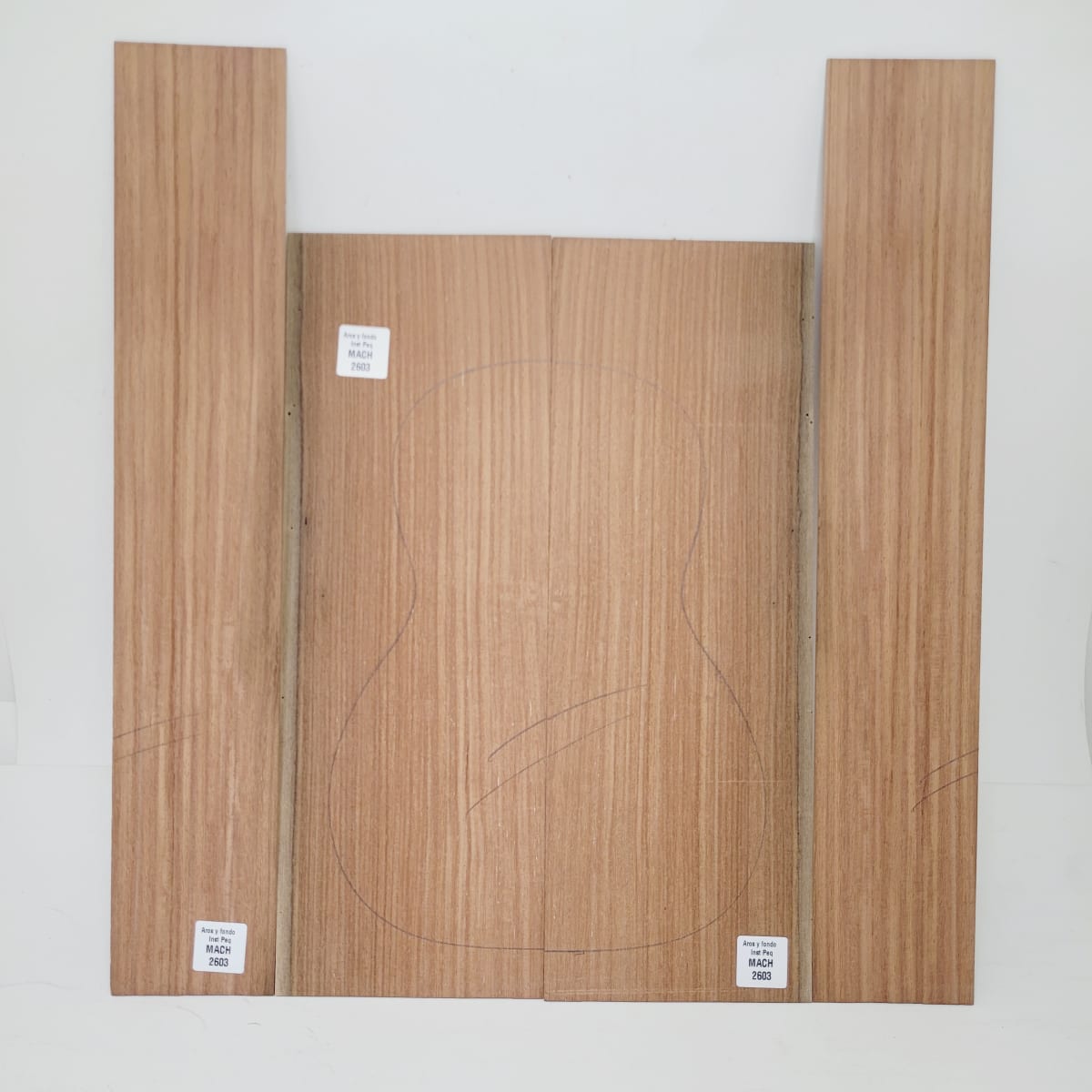 Set de Aros y Fondo con detalles para instrumentos pequeños de Machiche Mexicano REF: MACH-2603 8