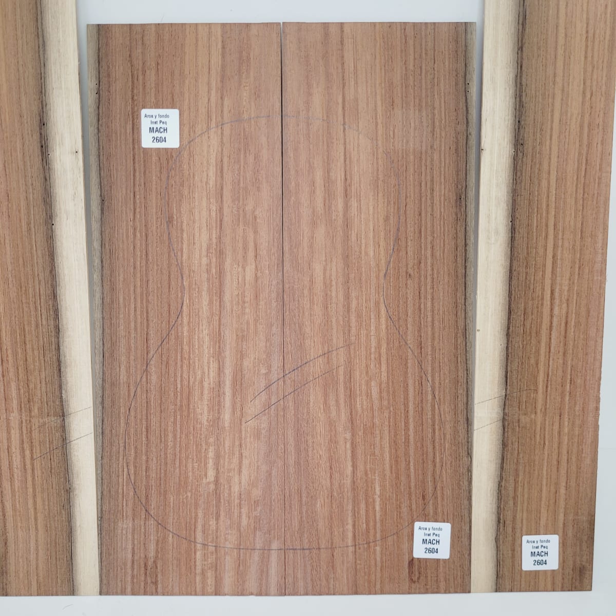 Set de Aros y Fondo con detalles para instrumentos pequeños de Machiche Mexicano REF: MACH-2604 6