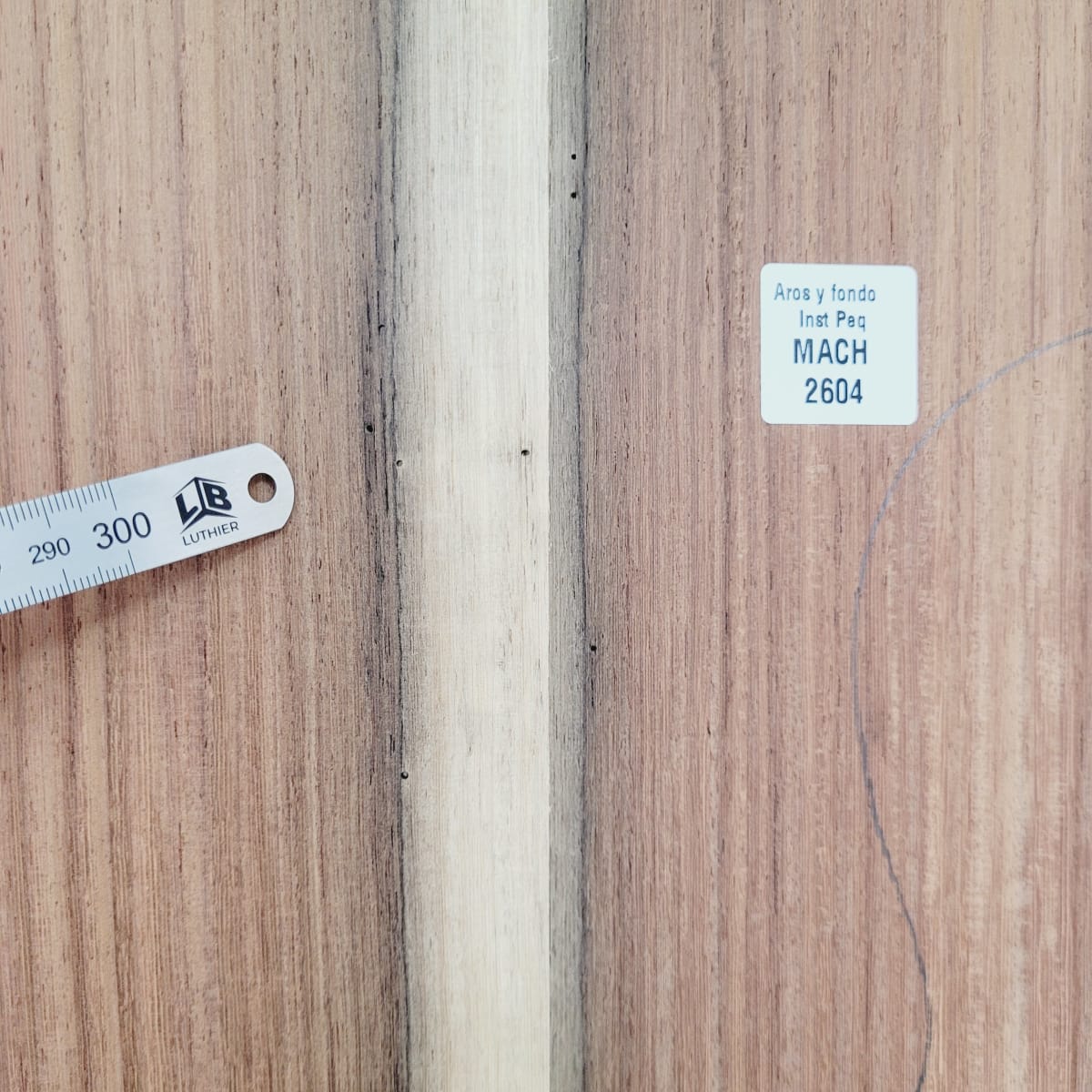 Set de Aros y Fondo con detalles para instrumentos pequeños de Machiche Mexicano REF: MACH-2604 5