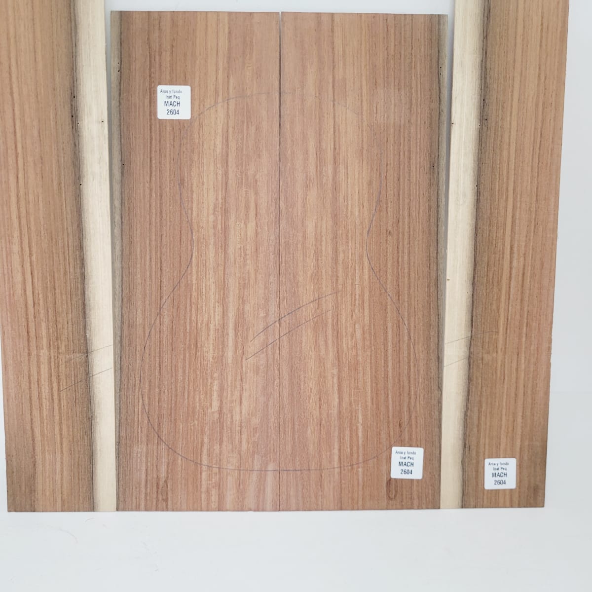 Set de Aros y Fondo con detalles para instrumentos pequeños de Machiche Mexicano REF: MACH-2604 7