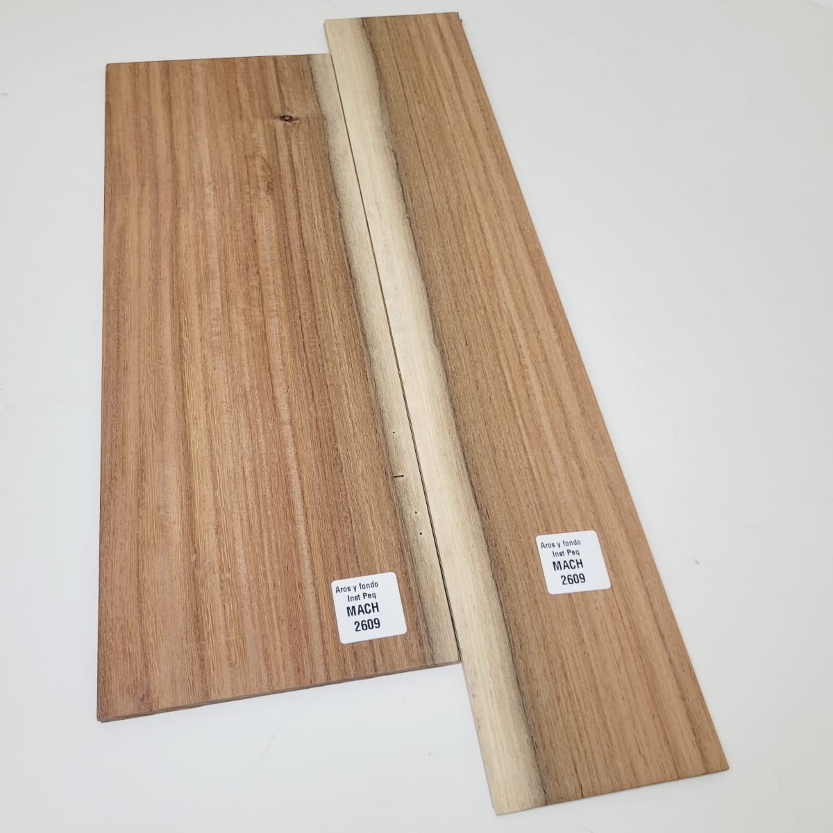 Set de Aros y Fondo con detalles para instrumentos pequeños de Machiche Mexicano REF: MACH-2609 6