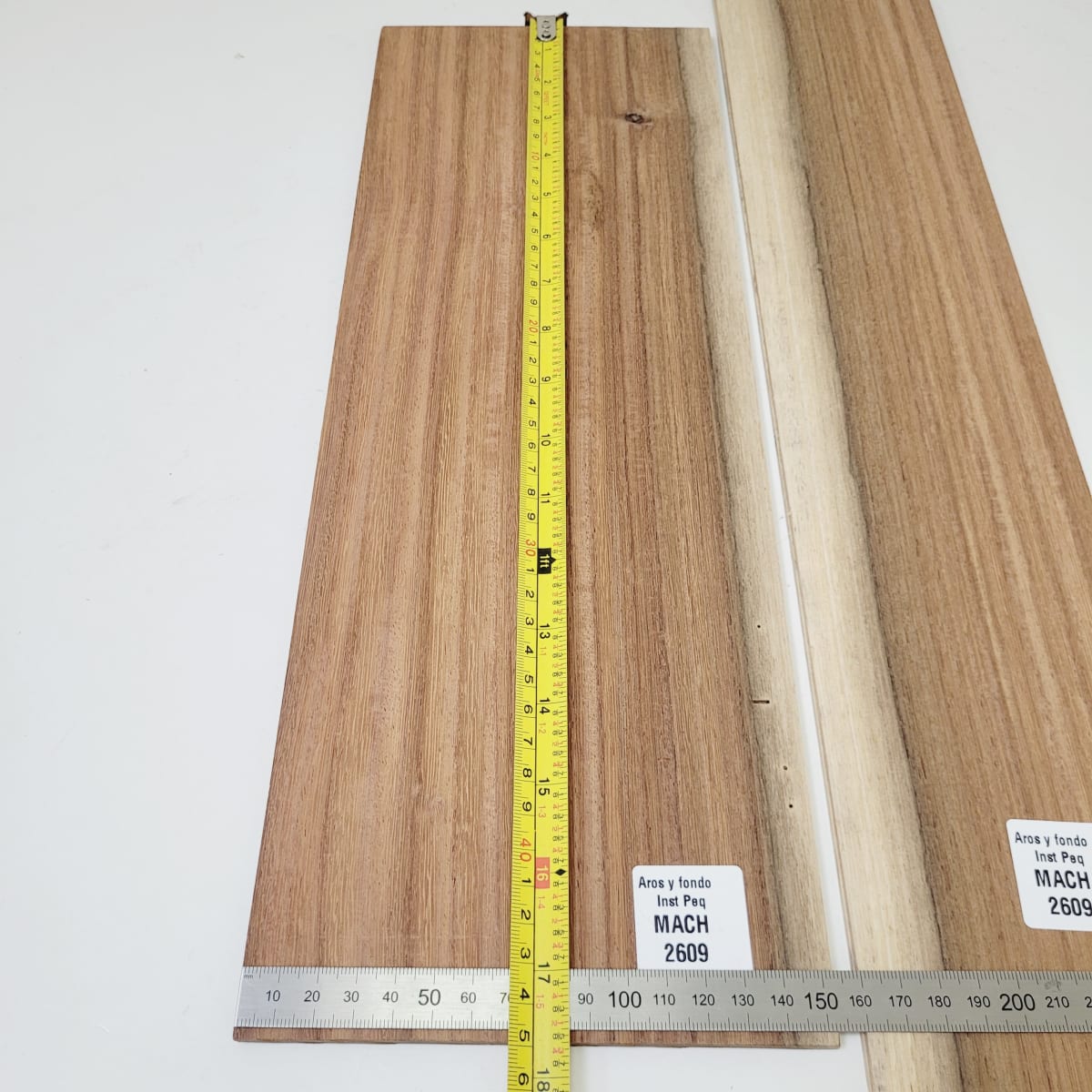 Set de Aros y Fondo con detalles para instrumentos pequeños de Machiche Mexicano REF: MACH-2609 3