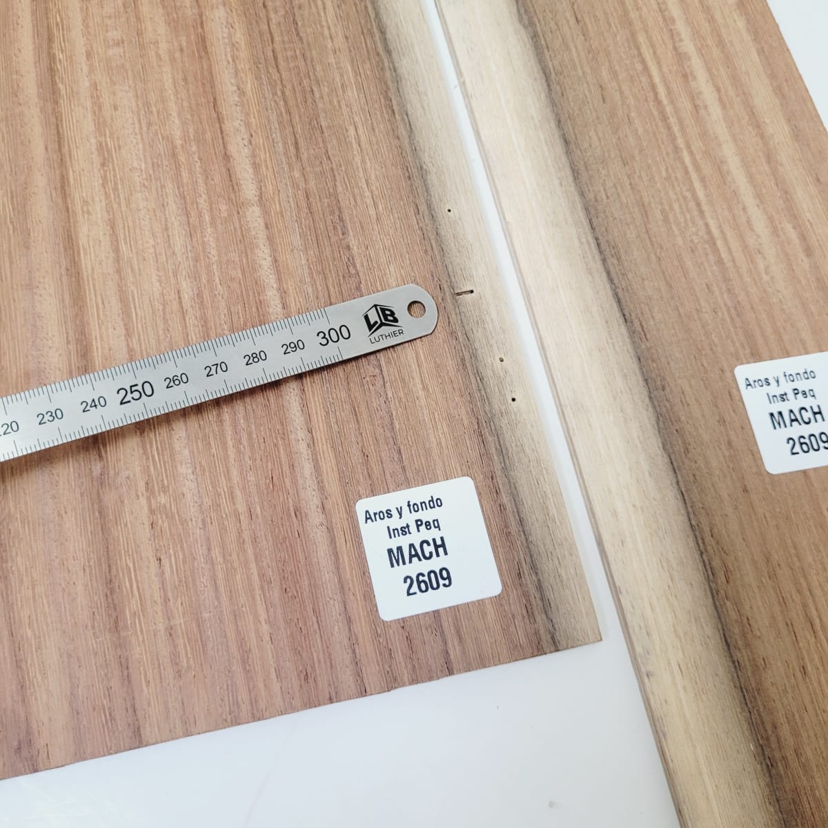 Set de Aros y Fondo con detalles para instrumentos pequeños de Machiche ...
