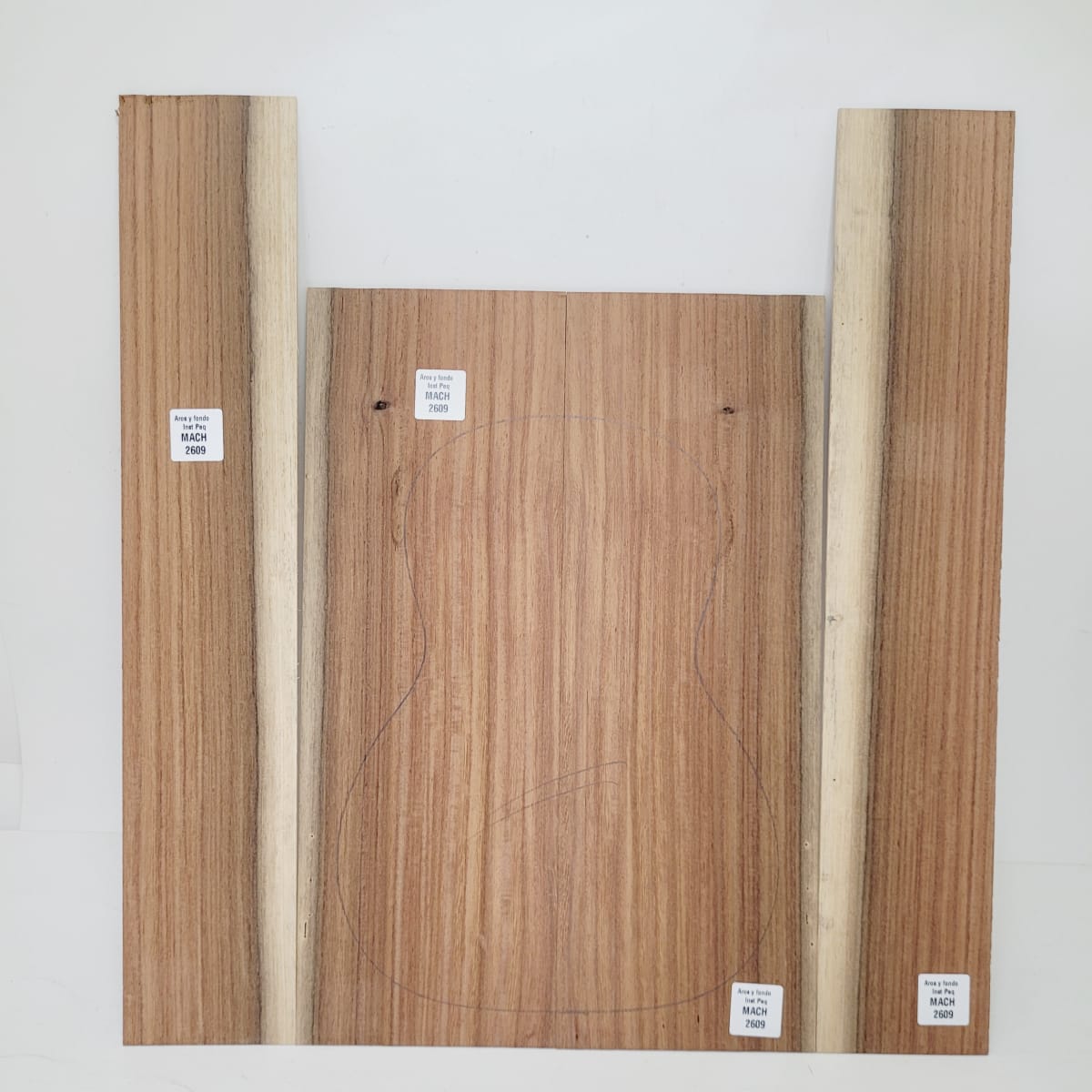 Set de Aros y Fondo con detalles para instrumentos pequeños de Machiche Mexicano REF: MACH-2609  0