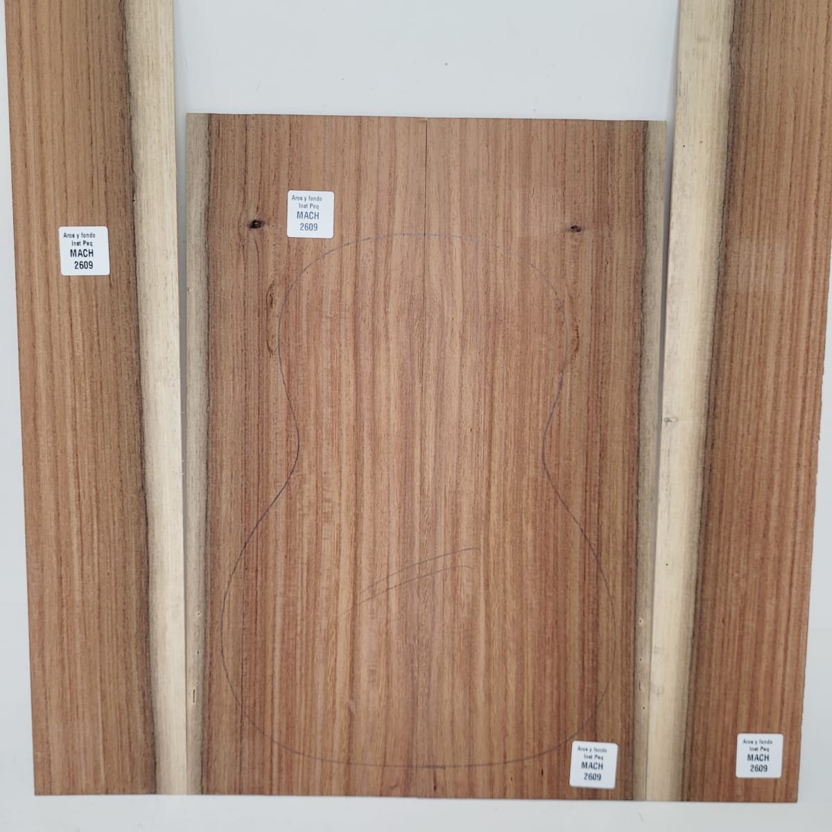 Set de Aros y Fondo con detalles para instrumentos pequeños de Machiche Mexicano REF: MACH-2609 7