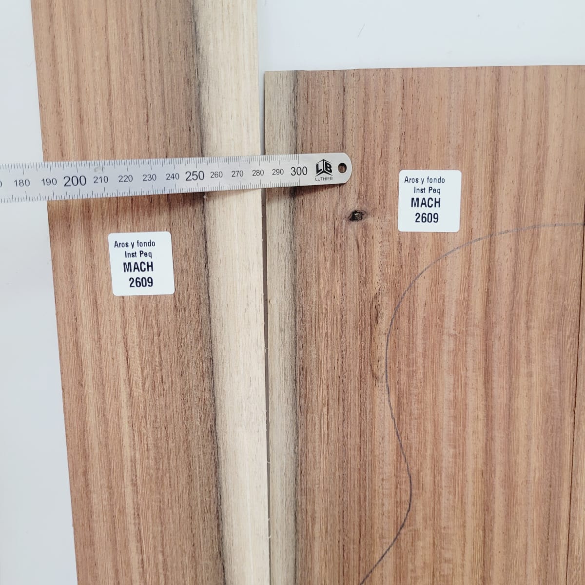 Set de Aros y Fondo con detalles para instrumentos pequeños de Machiche Mexicano REF: MACH-2609 5