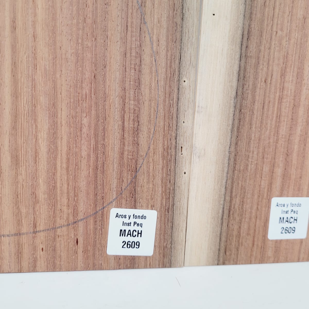 Set de Aros y Fondo con detalles para instrumentos pequeños de Machiche Mexicano REF: MACH-2609 8