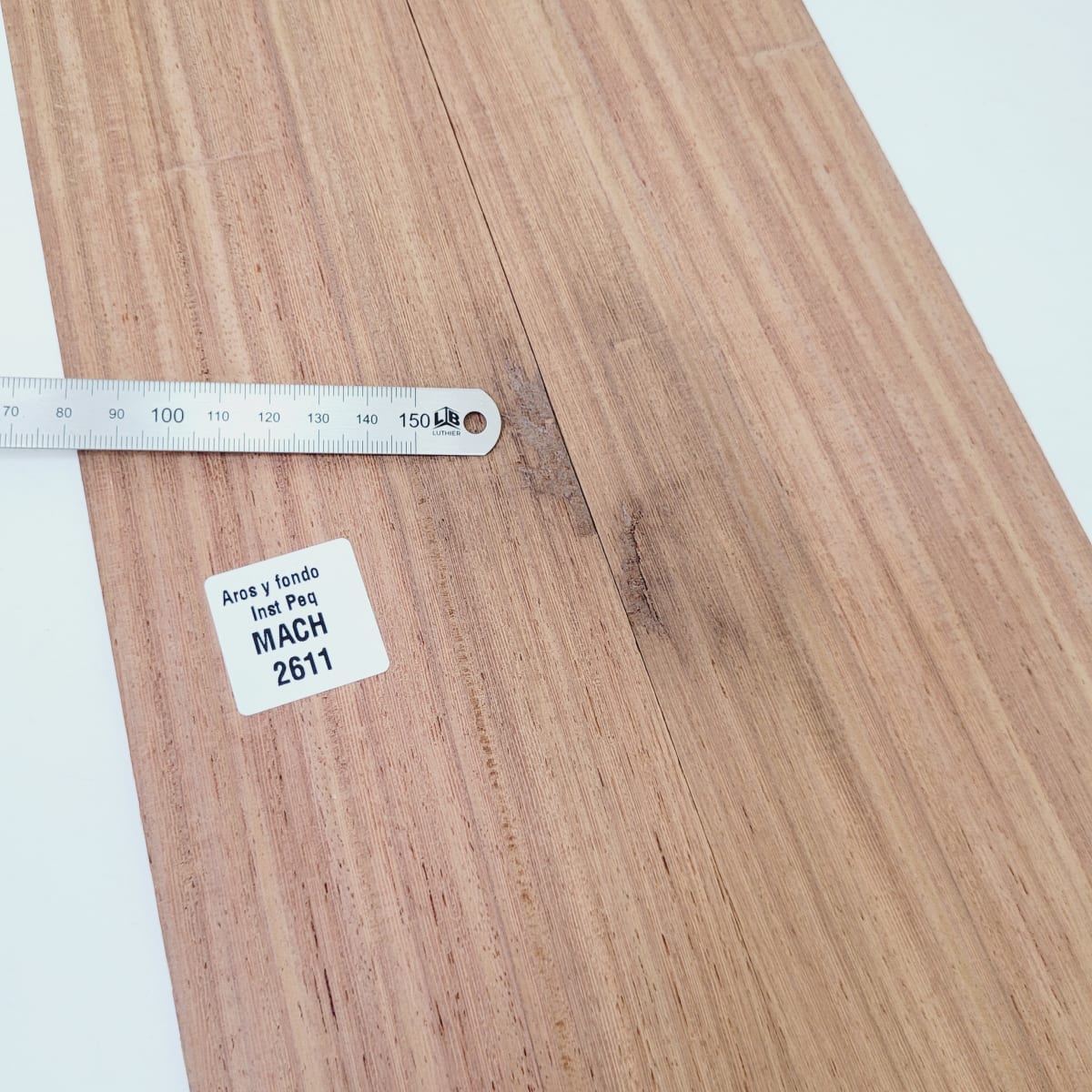 Set de Aros y Fondo con detalles para instrumentos pequeños de Machiche Mexicano REF: MACH-2611 5