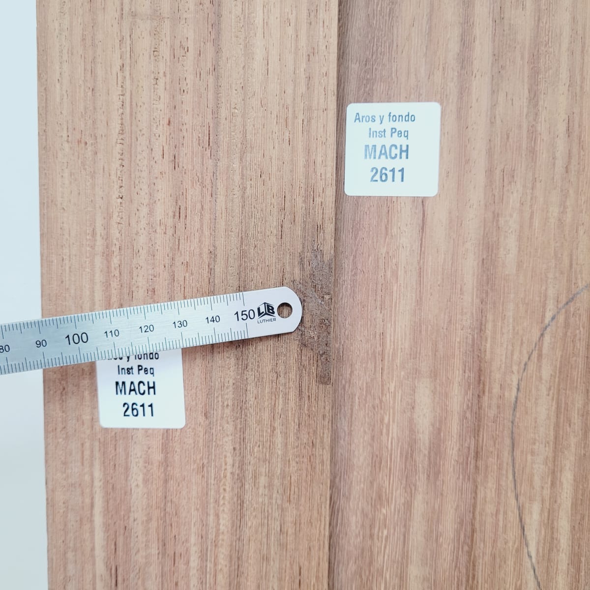 Set de Aros y Fondo con detalles para instrumentos pequeños de Machiche Mexicano REF: MACH-2611 4