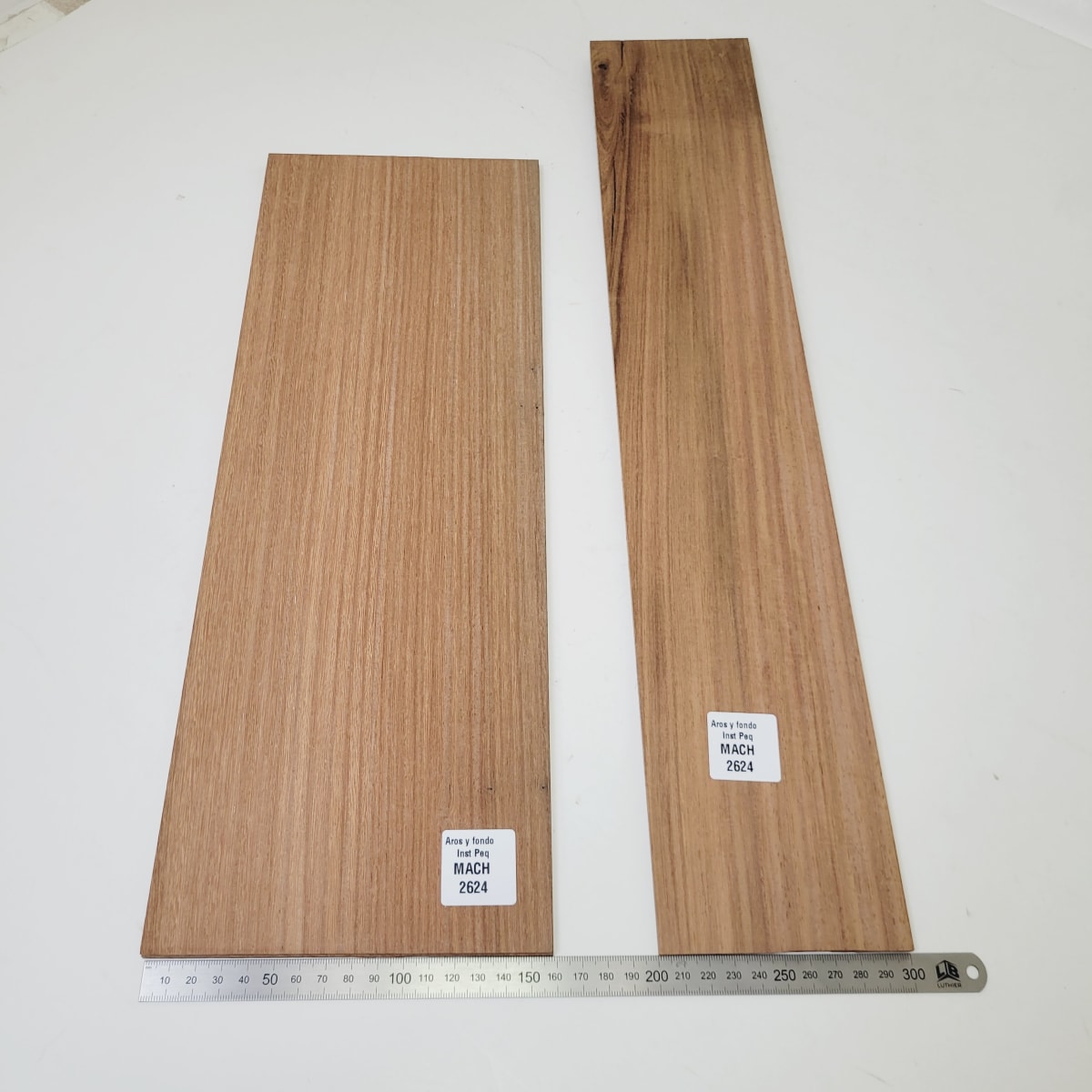 Set de Aros y Fondo con detalles para instrumentos pequeños de Machiche Mexicano REF: MACH-2624 4