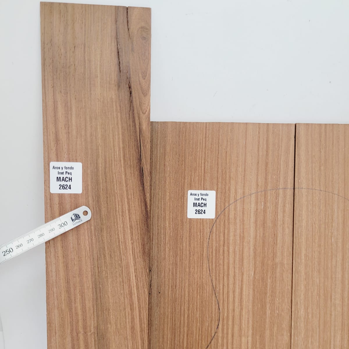 Set de Aros y Fondo con detalles para instrumentos pequeños de Machiche Mexicano REF: MACH-2624 5