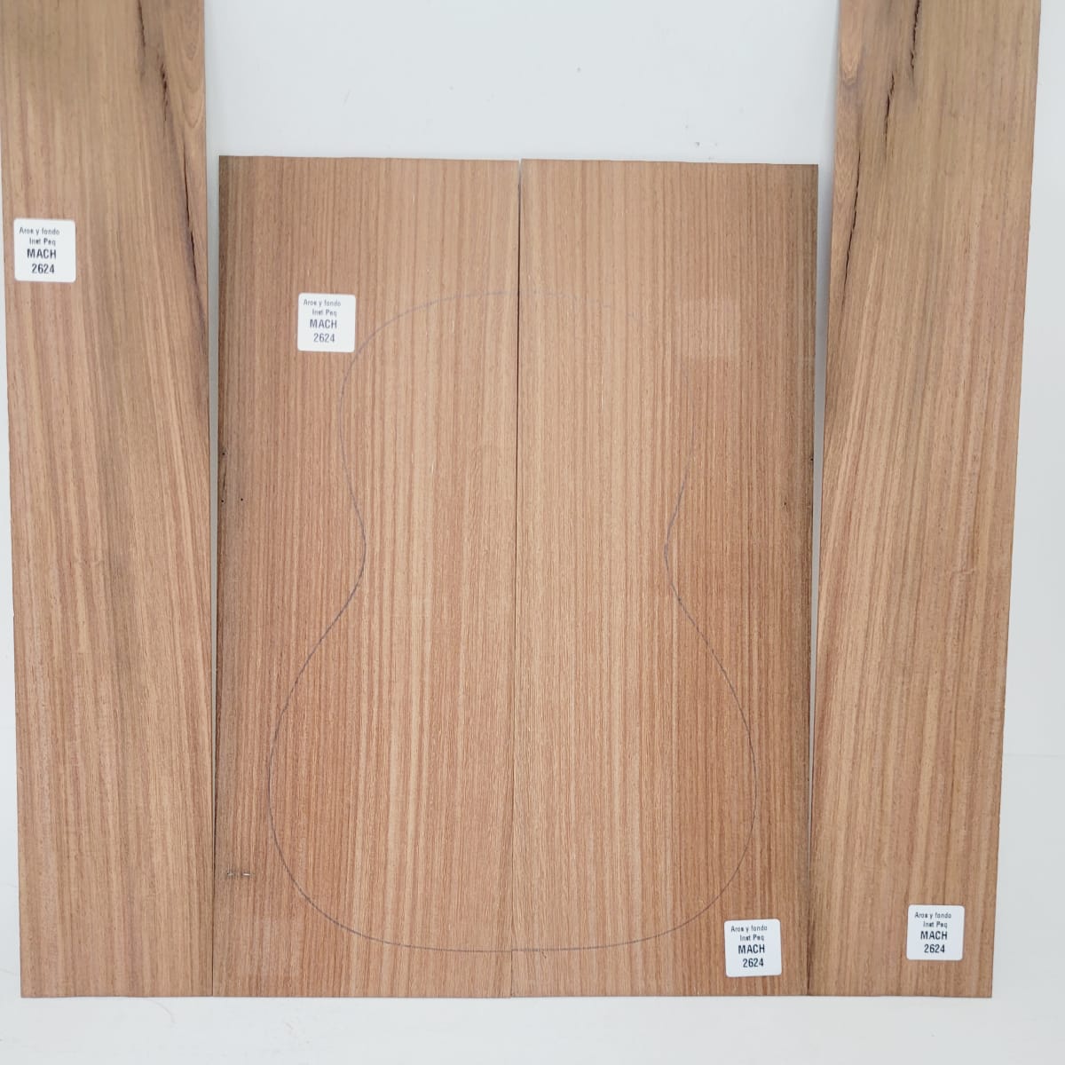 Set de Aros y Fondo con detalles para instrumentos pequeños de Machiche Mexicano REF: MACH-2624 6