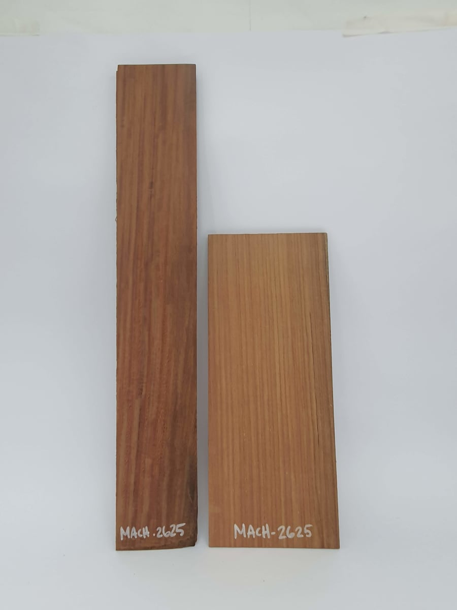 Set Unico REF: MACH-2625 de Machiche Mexicano4