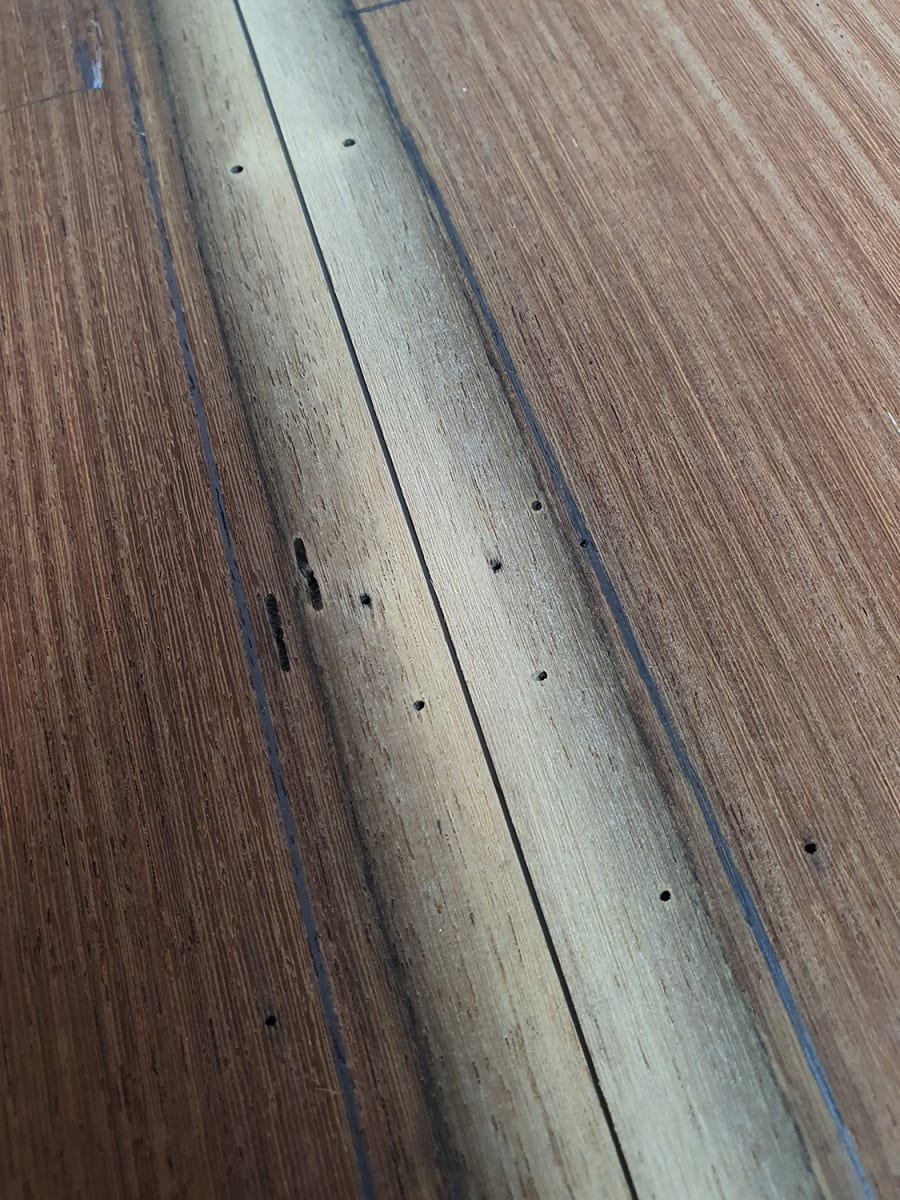 Set Unico REF: MACH-2610 de Machiche Mexicano9