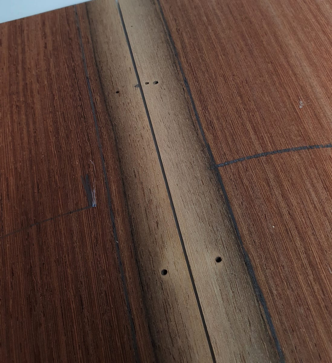 Set Unico REF: MACH-2610 de Machiche Mexicano10