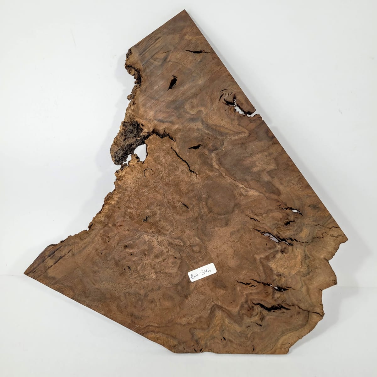Pieza Unica REF BW-346 de Raiz de Black Walnut para Artesania y Tallado3