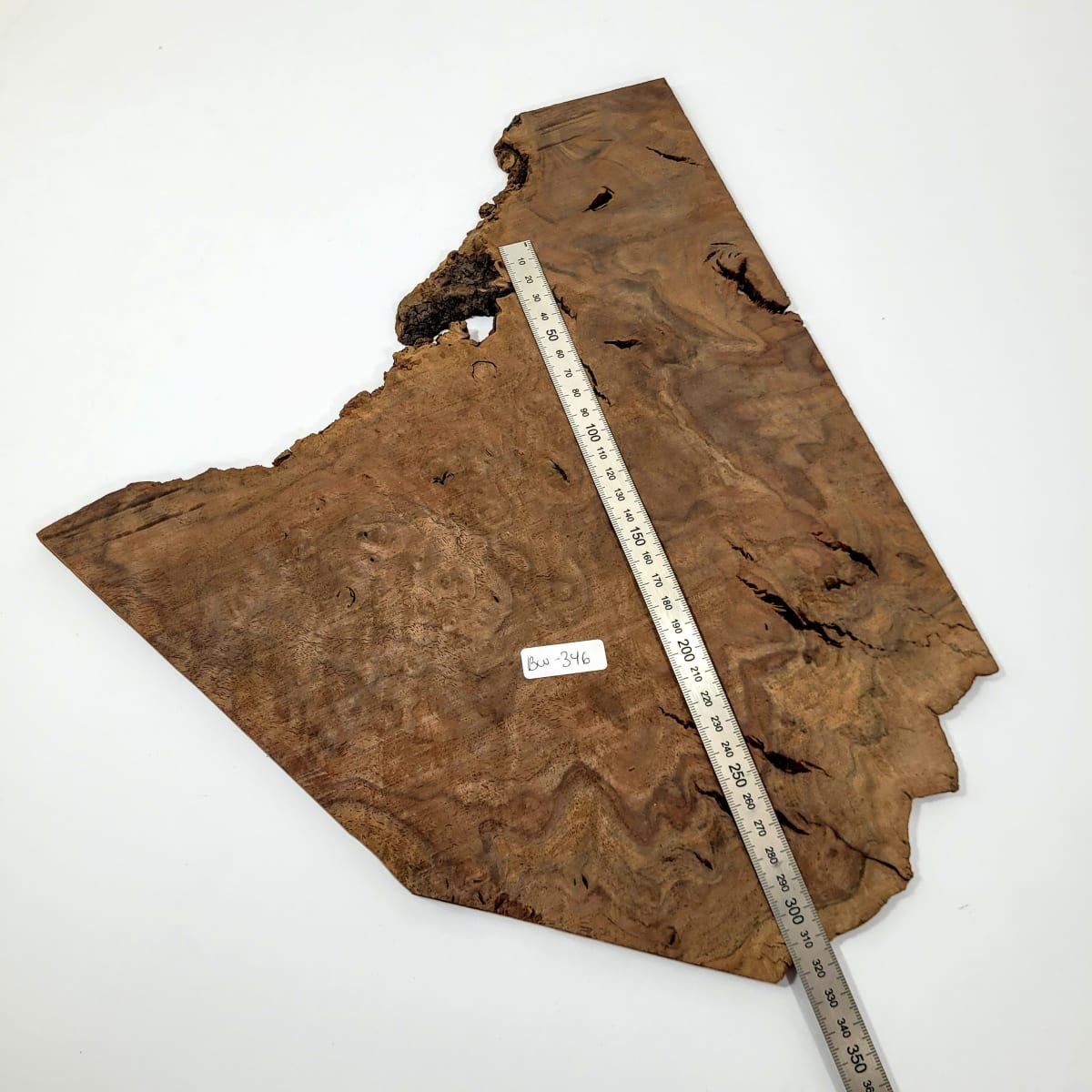 Pieza Unica REF BW-346 de Raiz de Black Walnut para Artesania y Tallado6