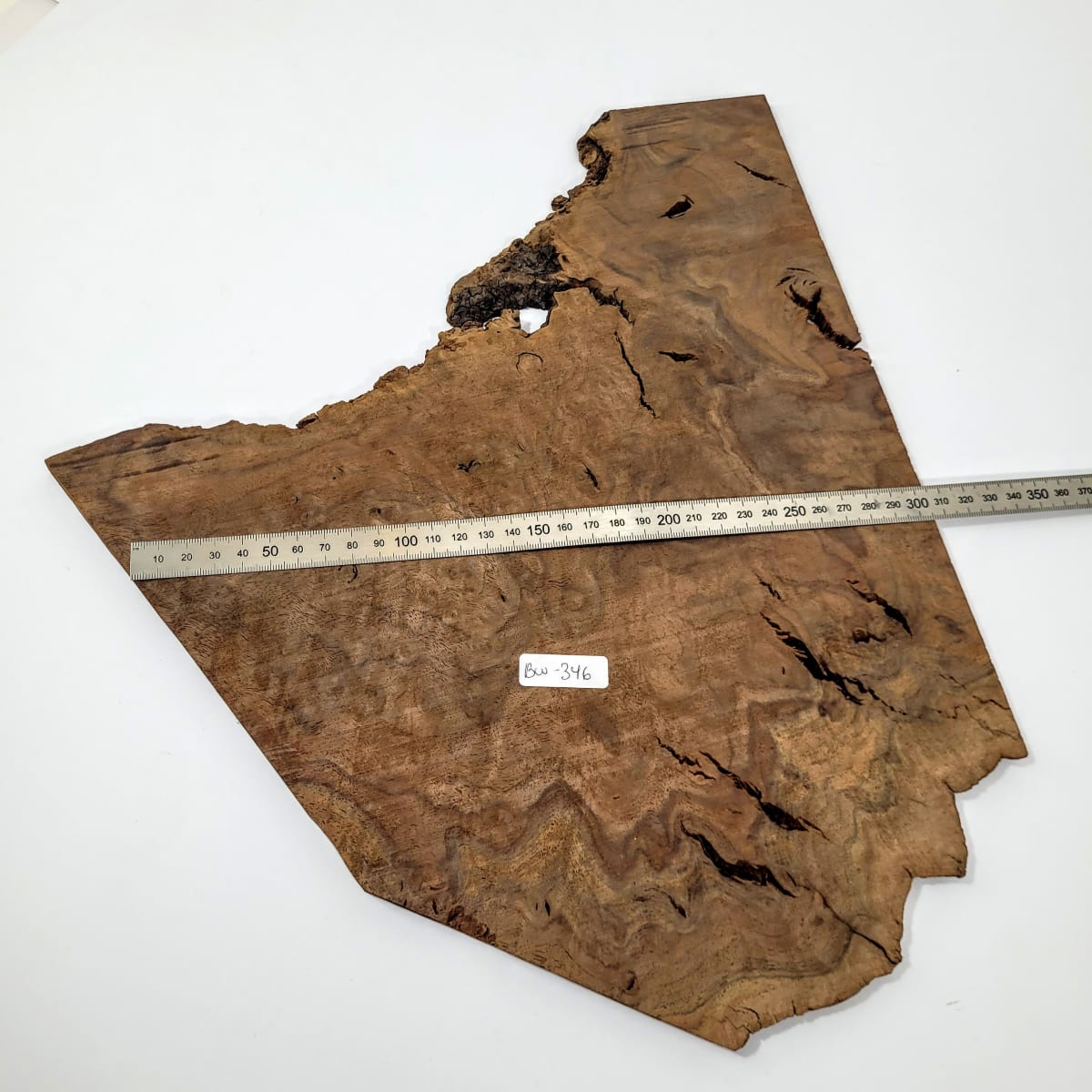 Pieza Unica REF BW-346 de Raiz de Black Walnut para Artesania y Tallado4