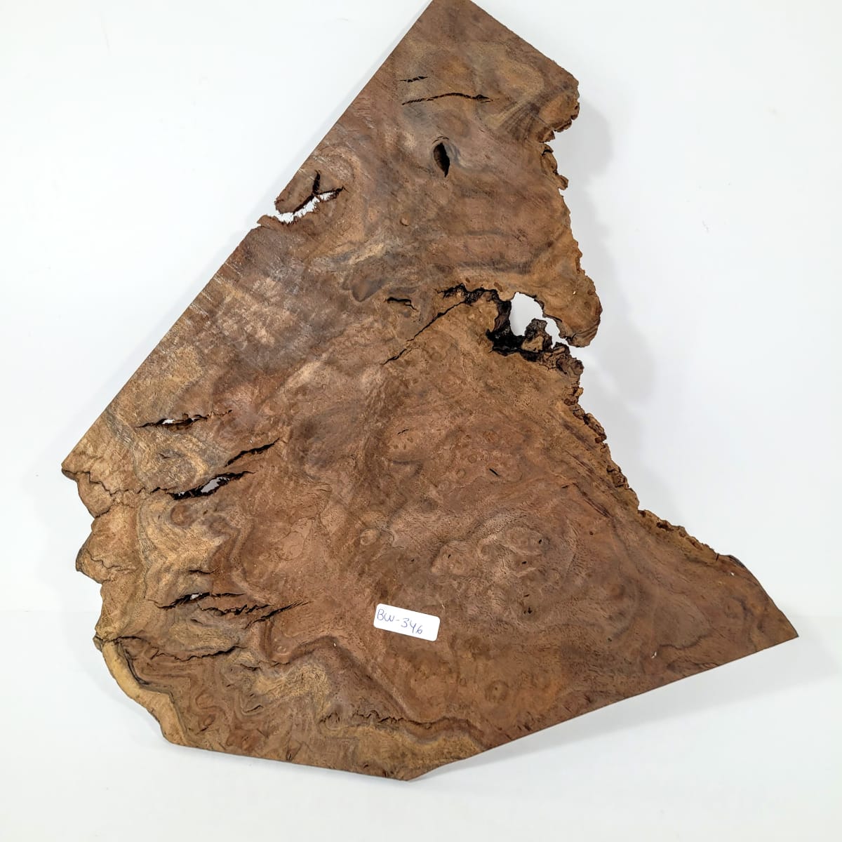 Pieza Unica REF BW-346 de Raiz de Black Walnut para Artesania y Tallado5
