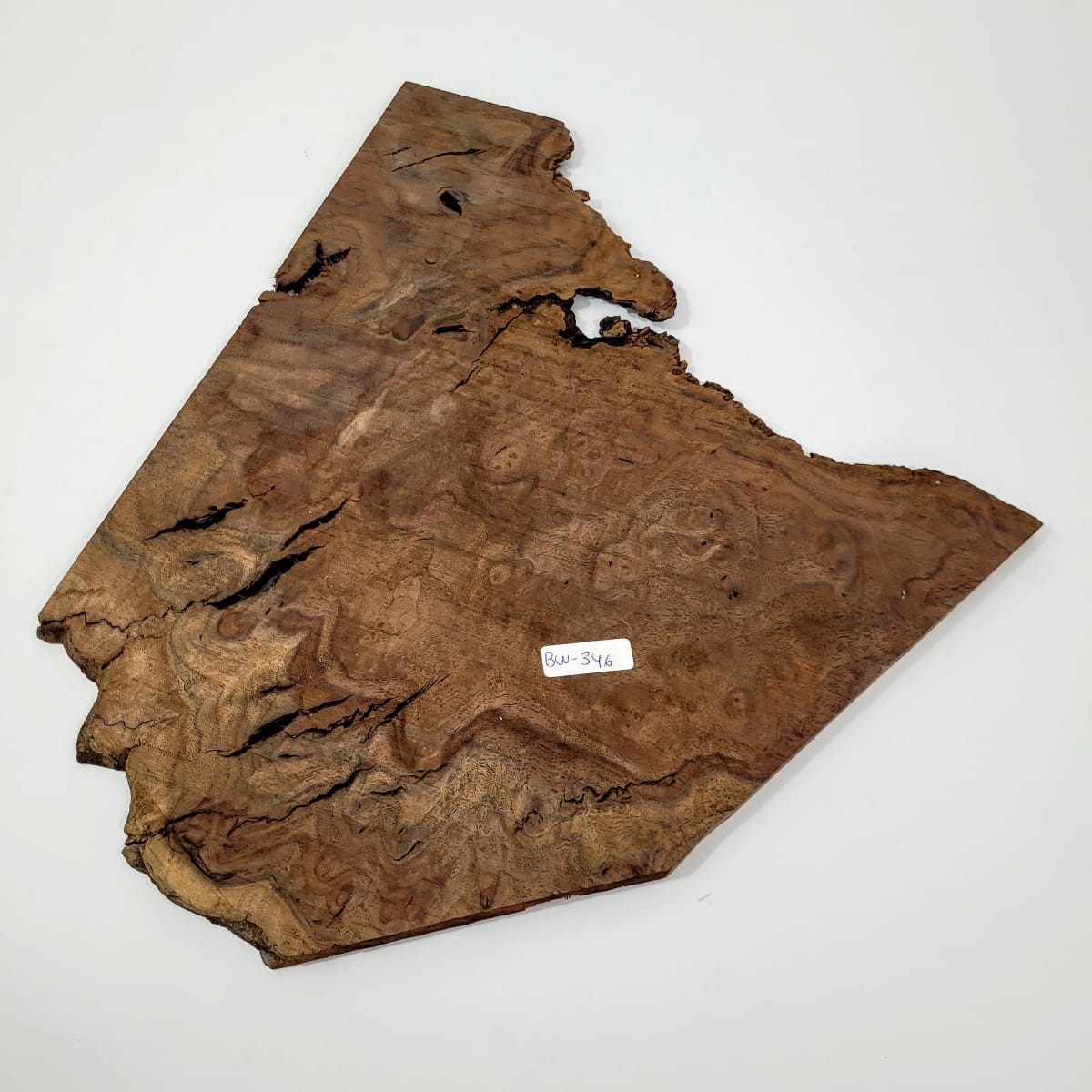 Pieza Unica REF BW-346 de Raiz de Black Walnut para Artesania y Tallado 0