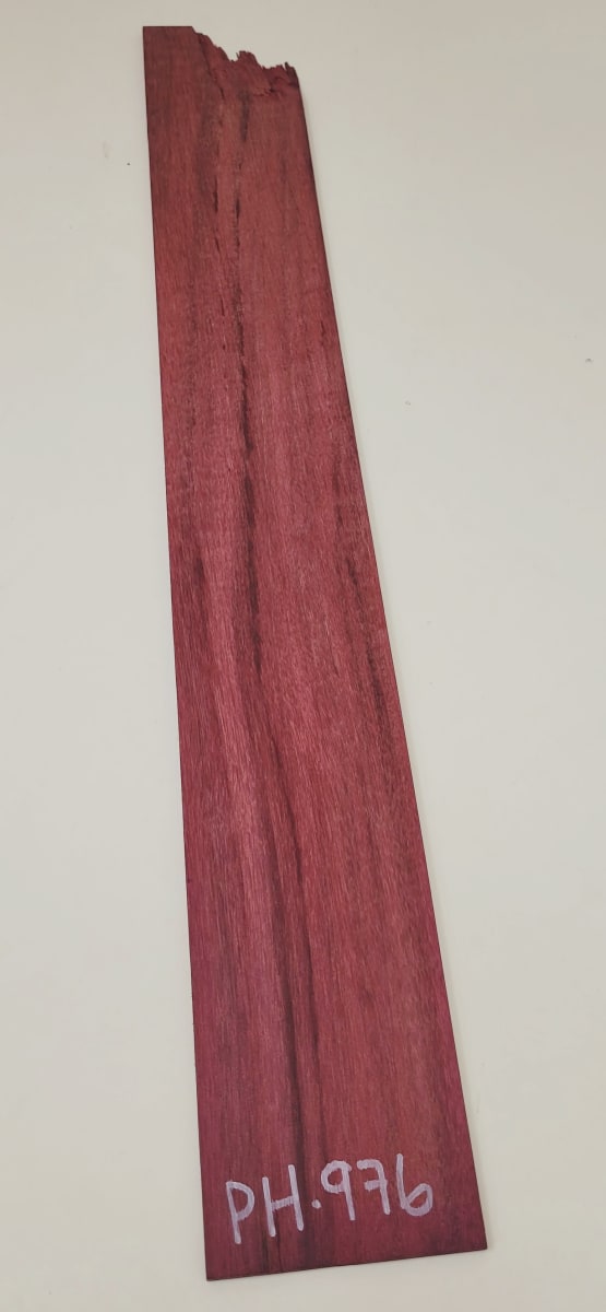 Lamina Unica REF: PH-976 de Purple Heart Especial1