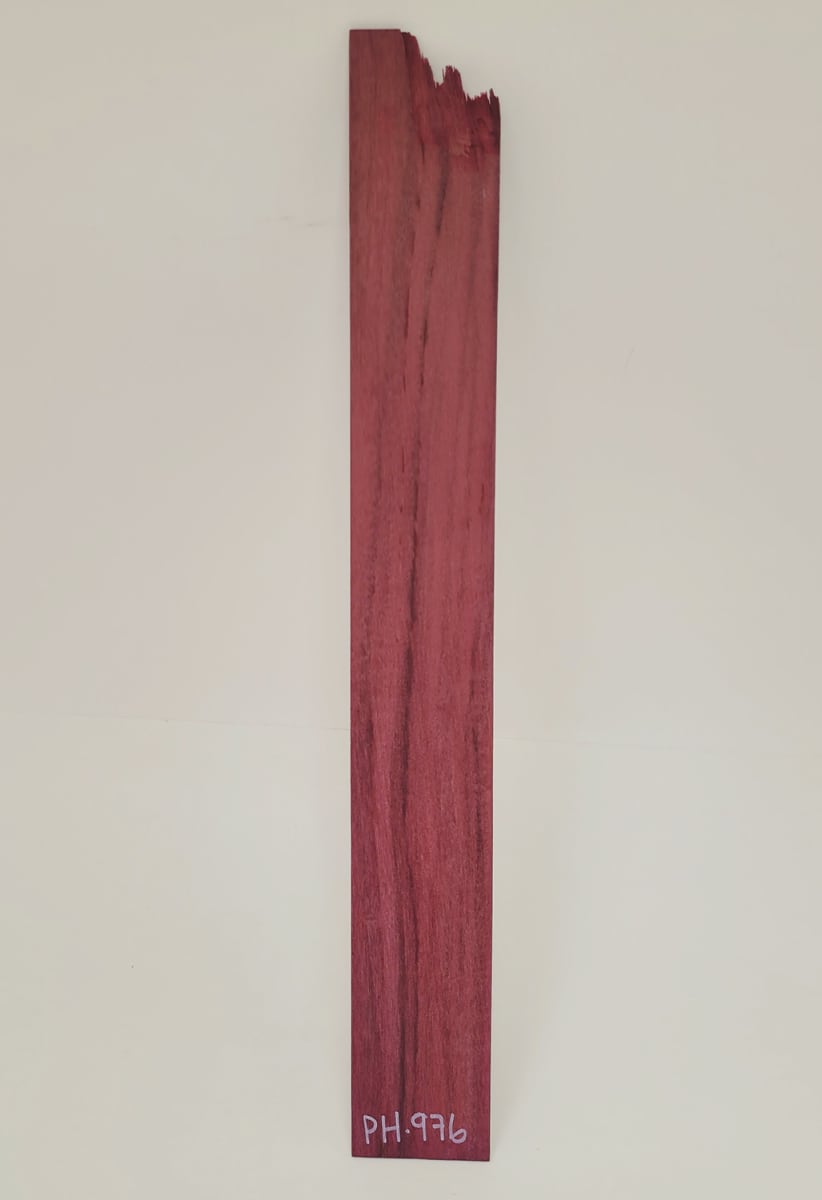 Lamina Unica REF: PH-976 de Purple Heart Especial3