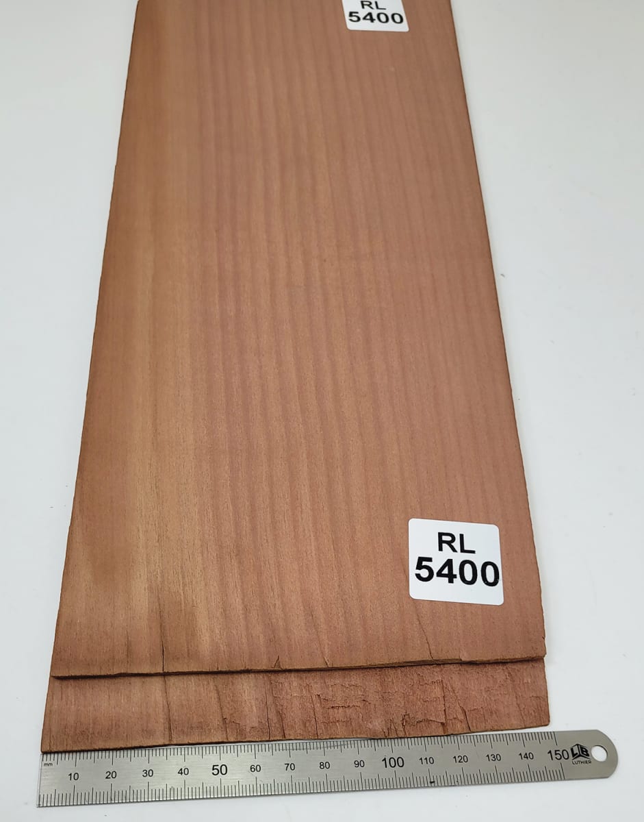 Fondo Unico REF: RL-5400 de Rauli Chileno Economico1