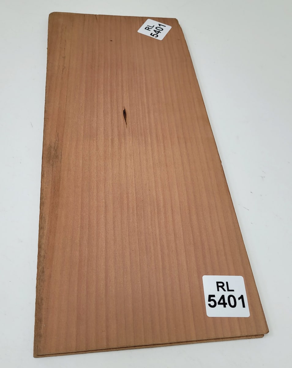 Fondo Unico REF: RL-5401 de Rauli Chileno Economico1